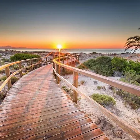 12-apartamento En La Playa Piscina Alicante