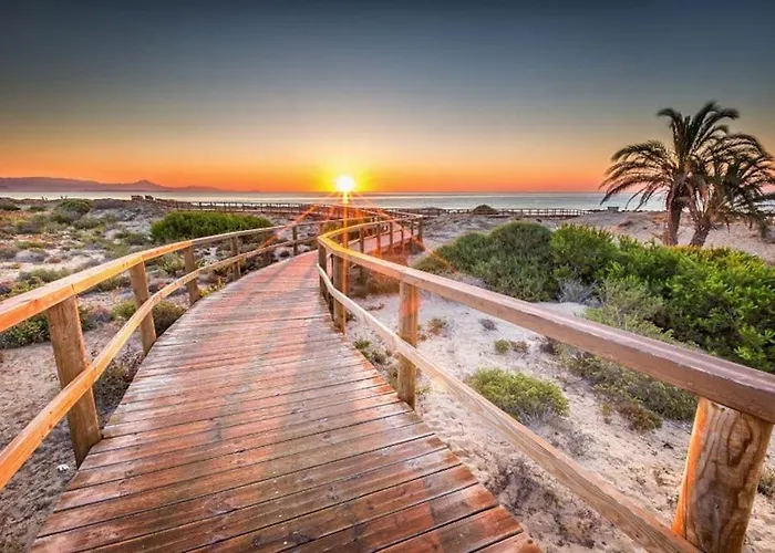 12-apartamento En La Playa Piscina Alicante