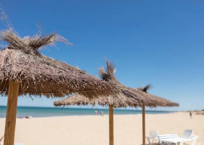 12-apartamento En La Playa Piscina *