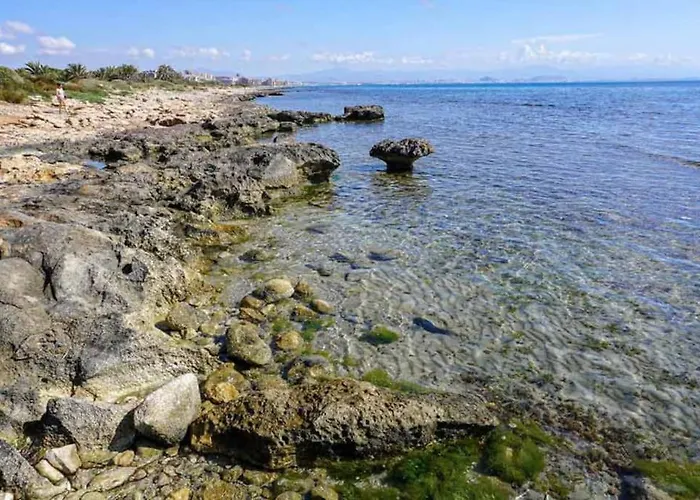 12-apartamento En La Playa Piscina Alicante